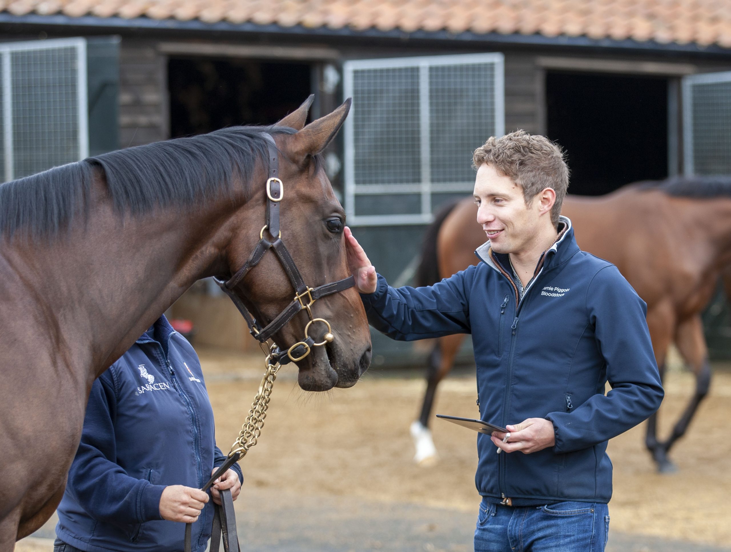Montbards Launches Private Partnership in Elite Thoroughbred Ownership